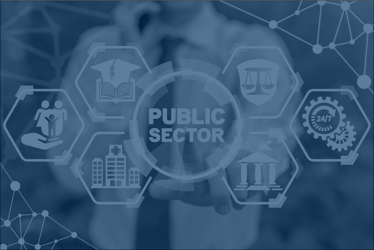 IPv4 Solution for Government & Public Sector